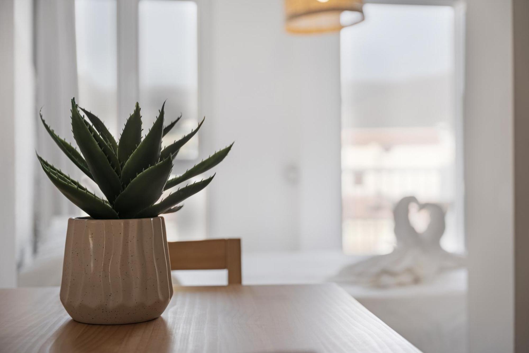 Apartamento La Pista Sur San Sebastián de la Gomera Exteriör bild